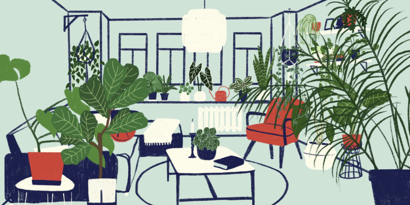 Urban Jungle  – Die Zimmerpflanze nimmt Platz!