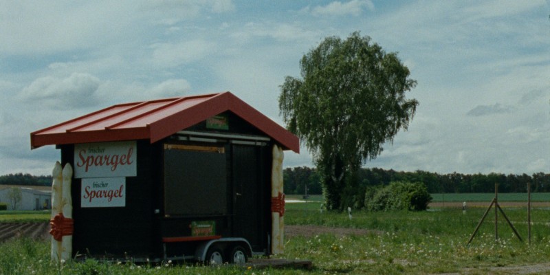 Spargel Tot, Kirschen Rot